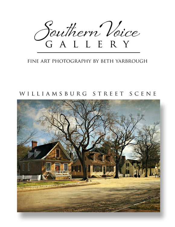 Artwork - Southern Voice Gallery - Williamsburg - Street Scene Fine Art Print