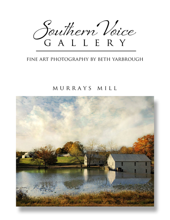 Artwork - Southern Voice Gallery - Farm and Field - Murrays Mill Fine Art Print