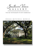 Artwork - Southern Voice Gallery - Iconic Houses - Bragg-Mitchell Fine Art Print