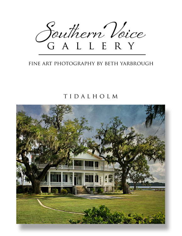 Artwork - Southern Voice Gallery - Iconic Houses - Tidalholm Fine Art Print