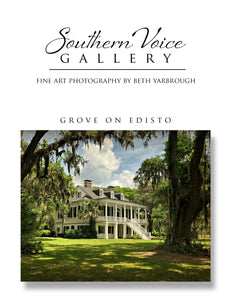 Artwork - Southern Voice Gallery - Iconic Houses - Grove on Edisto Fine Art Print