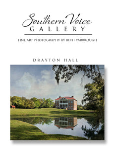 Artwork - Southern Voice Gallery - Iconic Houses - Drayton Hall Fine Art Print