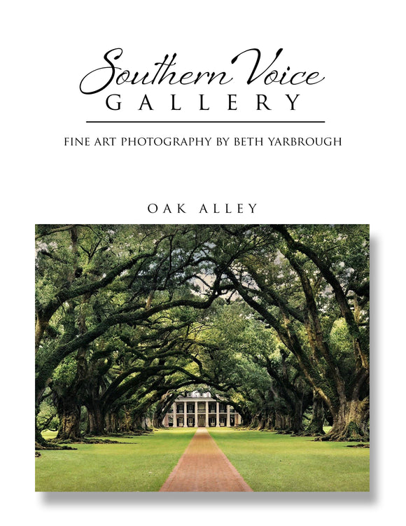 Artwork - Southern Voice Gallery - Iconic Houses - Oak Alley Fine Art Print