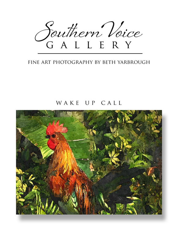 Artwork - Southern Voice Gallery - Key West - Rooster Fine Art Print