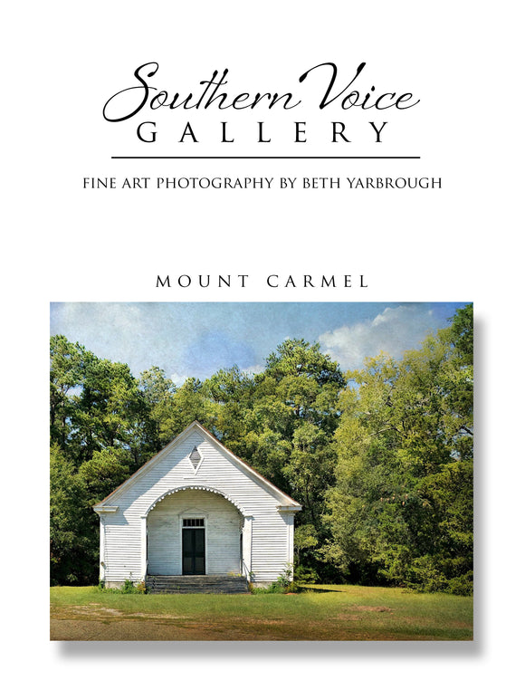 Artwork - Southern Voice Gallery - Churches - Mount Carmel Church Fine Art Print
