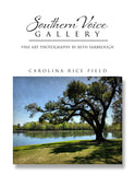 Artwork - Southern Voice Gallery - Waterways - Georgetown County Rice Field Fine Art Print