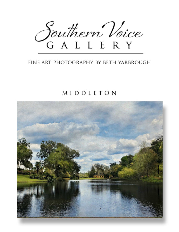 Artwork - Southern Voice Gallery - Waterways - Middleton Garden Fine Art Print