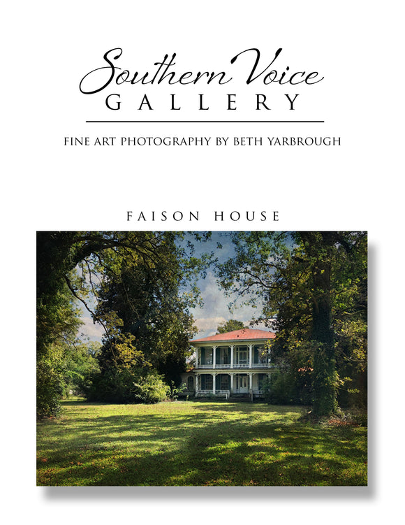 Artwork - Southern Voice Gallery - Old Homes - Faison House Fine Art Print
