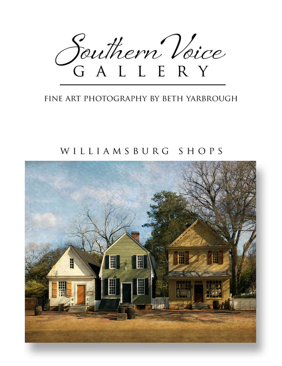 Artwork - Southern Voice Gallery - Williamsburg - Row of Shops Fine Art Print