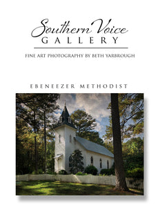 Artwork - Southern Voice Gallery - Churches - Ebeneezer Methodist Fine Art Print