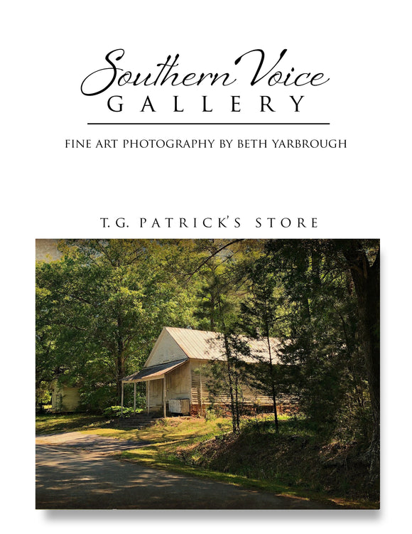 Artwork - Southern Voice Gallery - Roadside - T.G. Patrick's Store Fine Art Print