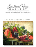 Artwork - Southern Voice Gallery - Big Splash - Red Hats in Whitakers