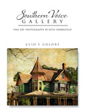 Artwork - Southern Voice Gallery - Big Splash - Clio's Colors