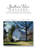 Artwork - Southern Voice Gallery - Churches - Fair Grove Fine Art Print