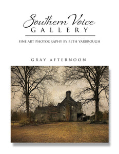 Artwork - Southern Voice Gallery - Abandoned - Rowan