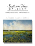 Artwork - Southern Voice Gallery - Coastal - Pawleys Island Marsh Fine Art Print