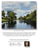 Artwork - Southern Voice Gallery - Waterways - Middleton Garden Fine Art Print